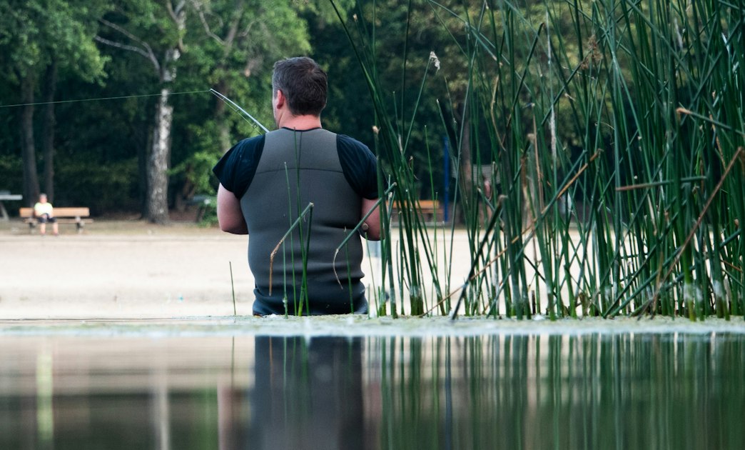 Australien: Springender Fisch tötet Angler