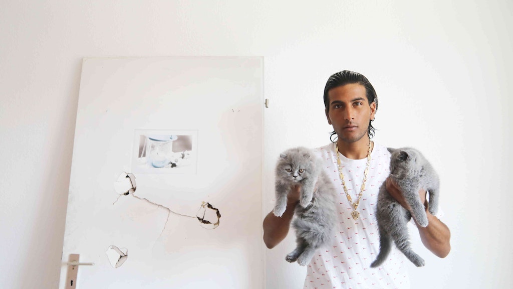 Paris und Prada, die Katzen von Ali, haben den Brand überlebt. 