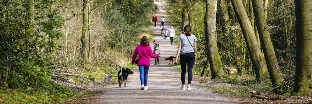 Führen die Berliner ihre Hunde im Freien vorschriftsmäßig aus? Die Gassi-Kontrollen sollen nächstes Jahr kommen.