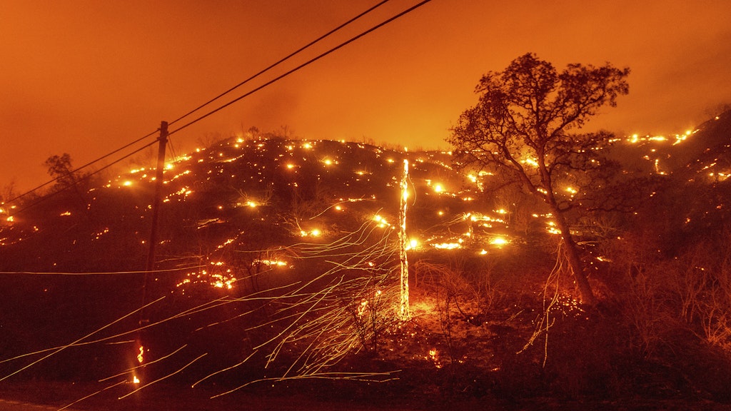 Bäume brennen an einem Hang bei einem Waldbrand.