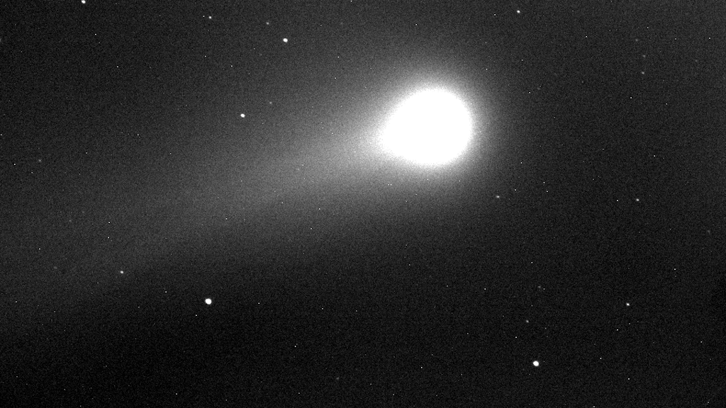 Anderssons Aufnahme des Kometen C/2020F3 (Neowise). Der Kernbereich ist etwas überbelichtet, dafür ist ein Teil des Schweifs gut zu sehen.
