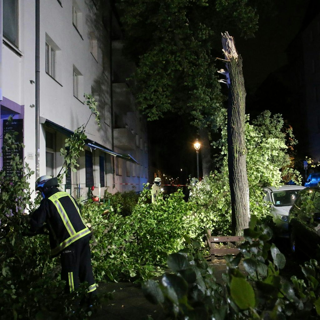 Die Feuerwehr räumt die Gefahrenstelle. Einige Äste stürzten auch auf den Gehweg.