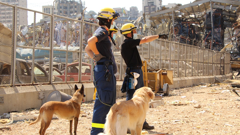 Einsatzkräfte des Technischen Hilfswerks (THW) stehen mit Rettungshunden an beschädigten Gebäuden. Nach der verheerenden Explosion im Hafen der libanesischen Hauptstadt wird weiter nach Opfern gesucht.