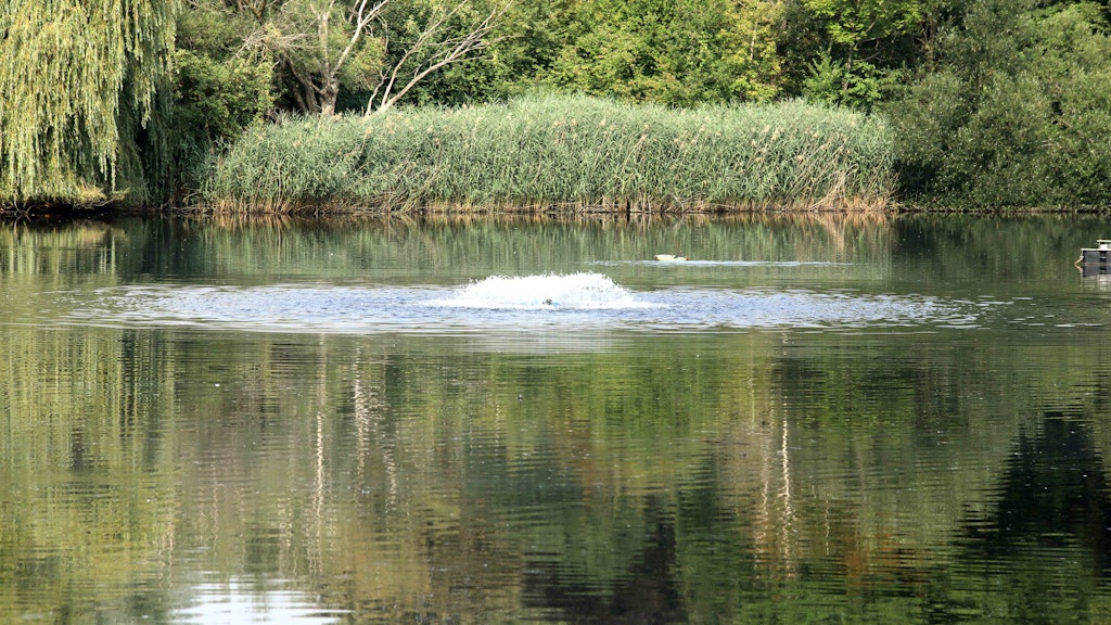 An zwei Stellen sprudelt das Wasser: So soll erreicht werden, dass es mehr Sauerstoff enthält.