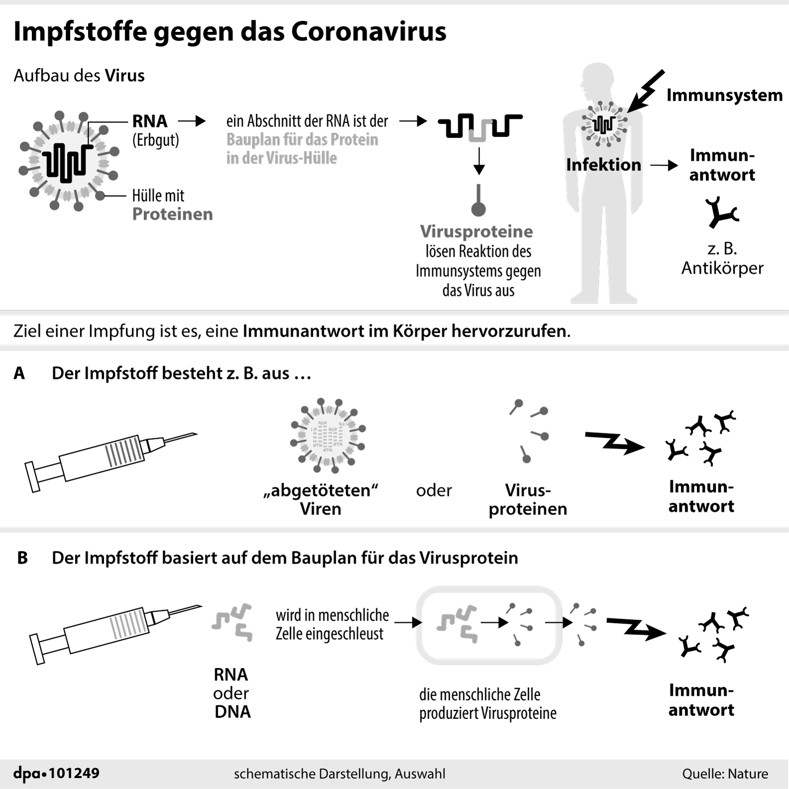 Europa Zuerst? Wie Wird Der Erhoffte Corona-Impfstoff Verteilt?