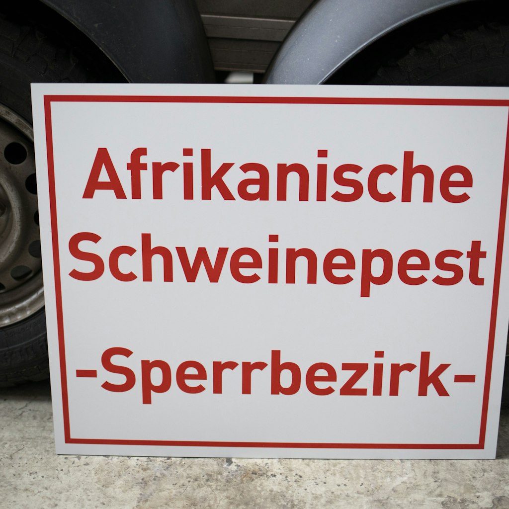 Ein Warnschild, das auf die Schweinepest hinweist.