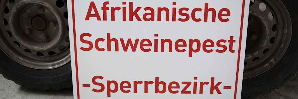 Die Afrikanische Schweinepest ist erstmals in Deutschland nachgewiesen worden. Die für Menschen ungefährliche Tierseuche ist bei einem toten Wildschwein in Brandenburg bestätigt worden, wie Bundesagrarministerin Klöckner mitteilte. 