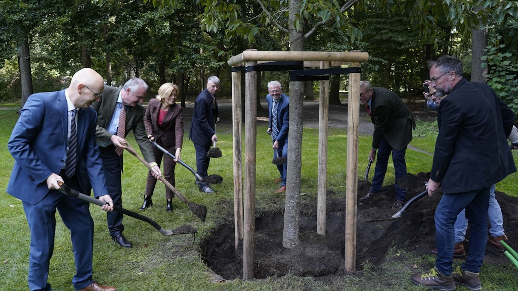 Pflanzung einer Späth-Erle im Berliner Tiergarten. 