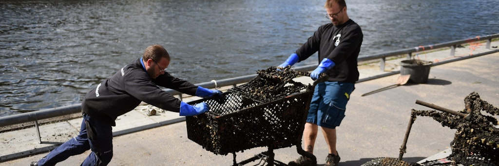 Ronny Klinghardt und Reiner Beust haben einen Einkaufswagen aus dem Wasser gefischt.