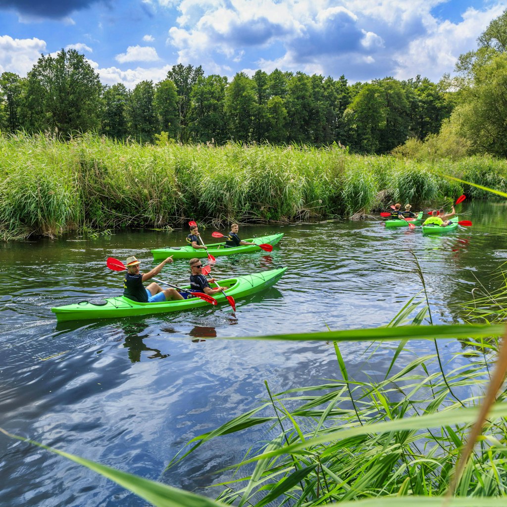 Natur-Fans entdecken die Spree vom Kanu aus. Die Tour führt sie von Cottbus nach Burg im Spreewald.