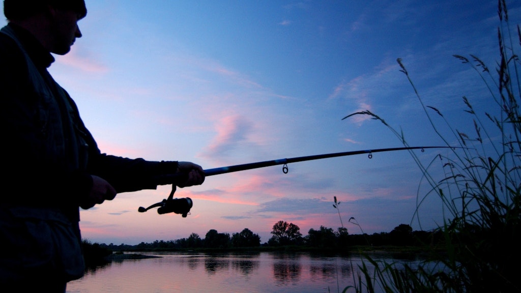 Einswerden mit der Natur: Die Angler lieben die so genannte blaue Stunde. In der Abenddämmerung sind Petri-Jünger, wie hier an der Oder, gerne unterwegs. 