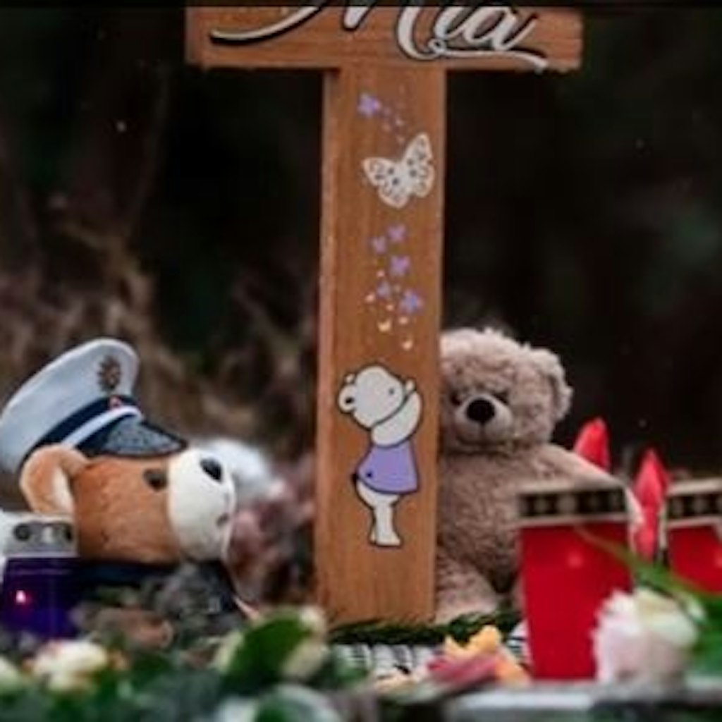 Als Ende 2018 eine Babyleiche in einem Altkleidercontainer aus Duisburg gefunden wurde, wurde Anja gebeten, ein Bild für das Grabkreuz zu zeichnen.