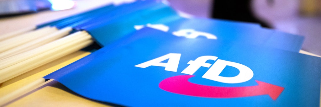 Die AfD stellt die stärkste Fraktion im Geraer Stadtrat (Symbolbild).