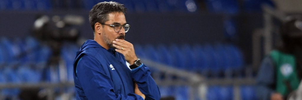 Niedergeschlagen: Trainer David Wagner.