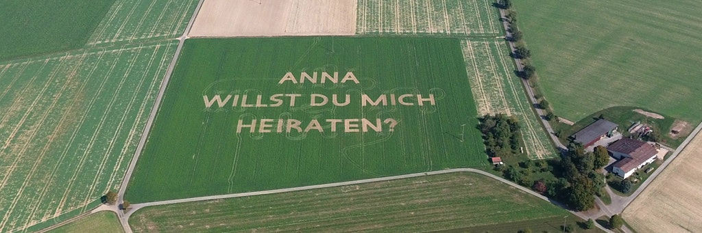 Heiratsantrag im Feld.