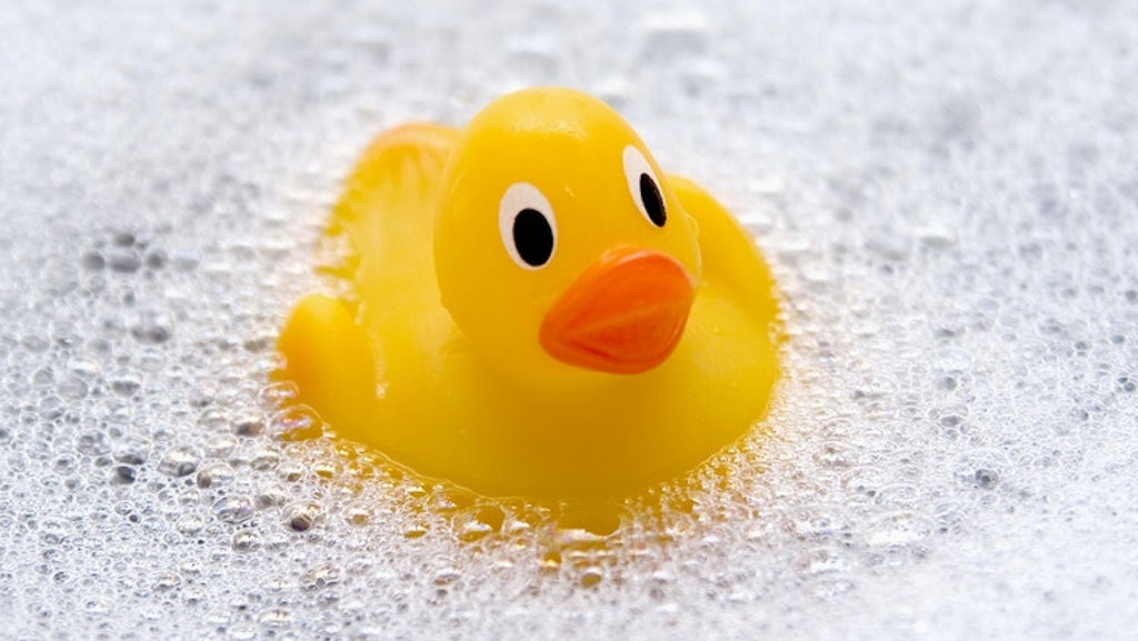 Die Ursache: eine Bade-Ente. 