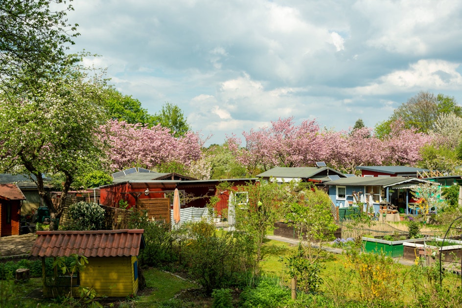 Berliner Laubenpieper zittern um ihre Gärten