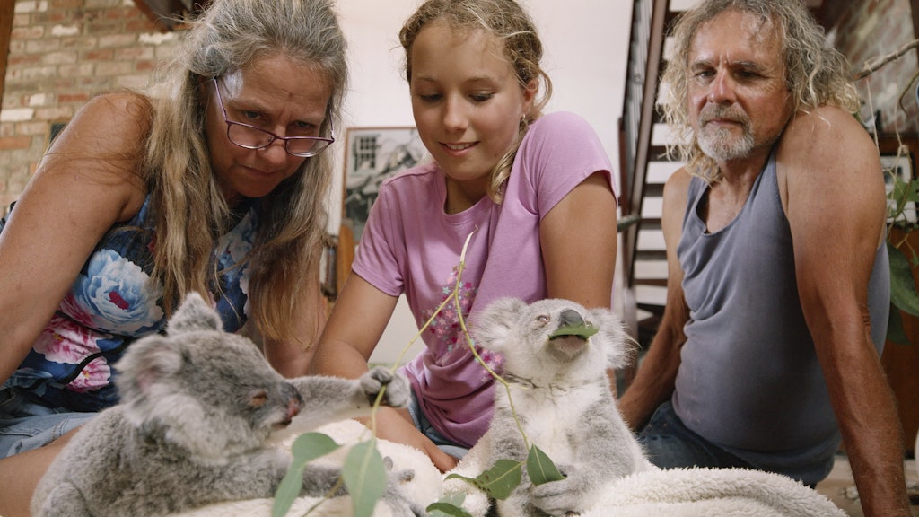 Izzy Bee sitzt mit ihren Eltern, Mutter Ali und Vater Tim, vor einigen der geliebten Koalas, die auf einer Decke an Blättern knabbern.