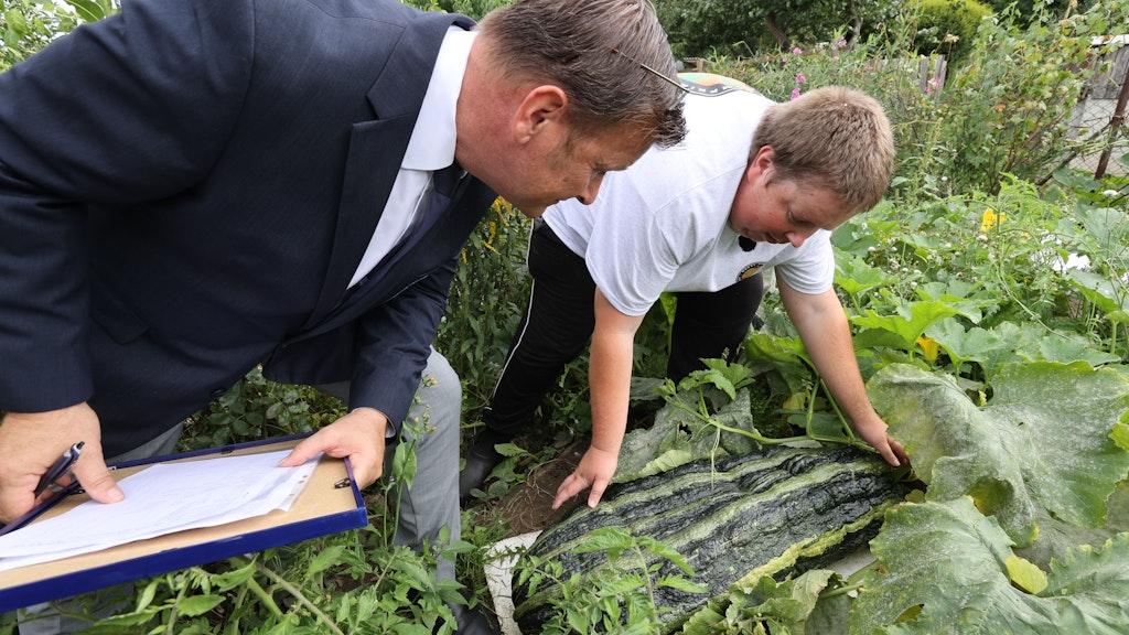 Olaf Kuchenbecker (links) vom Rekordinstitut für Deutschland begutachtet mit Riesengemüsezüchter Patrick Teichmann eine XXL-Zucchini in dessen Schrebergarten.