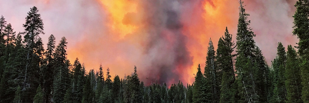 Flammen steigen im Sierra National Forest auf.