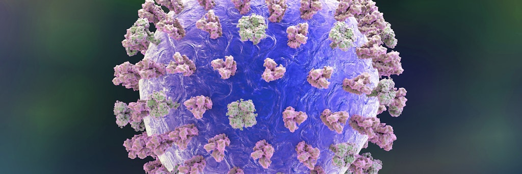 Dies ist kein Coronavirus: Influenzavirus in einer Computerillustration - mit den Oberflächenproteinen Hämagglutinin (violett) und Neuraminidase (grün).