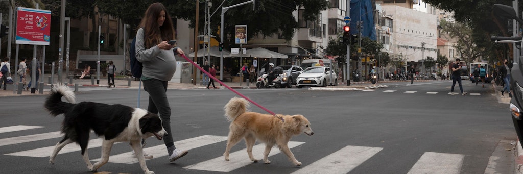 Jeder elfte Einwohner Tel Avivs ist Hundebesitzer. Das Resultat sind Häufchen über Häufchen. Dagegen will die Stadtverwaltung jetzt vorgehen. 