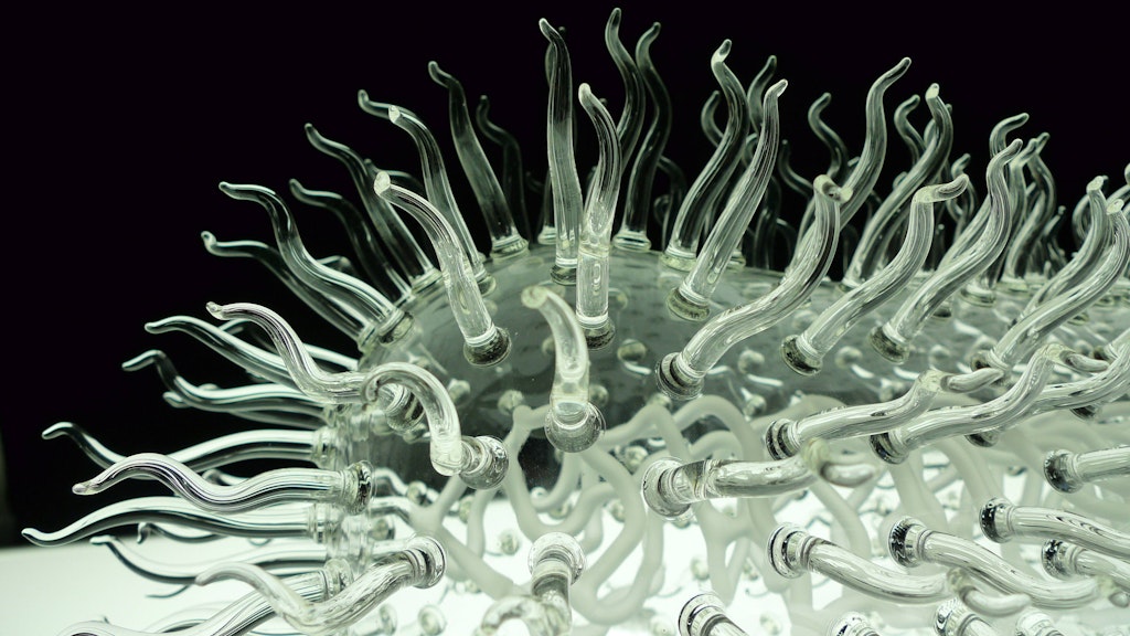Ein E.-coli-Bakterium unter dem Mikroskop