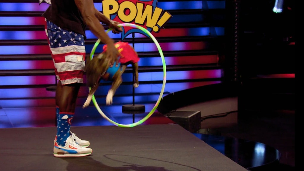 „Ninja Warrior“-Star Gary Hines lässt Hund Gizmo bei „Take me out“ durch einen Reifen springen.