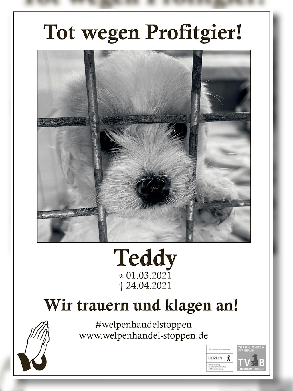 Mit solchen Plakaten macht das Berliner Tierheim auf das Leid der Hundewelpen aufmerksam.