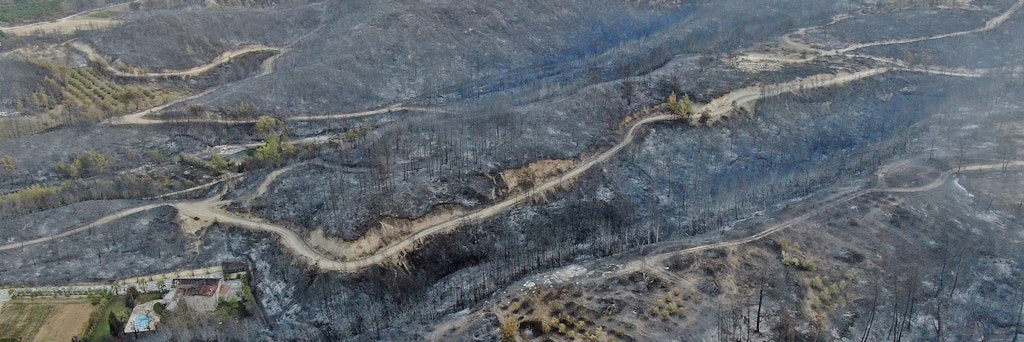 Türkei, Manavgat: Zerstörtes Gebiet nach einem Waldbrand.