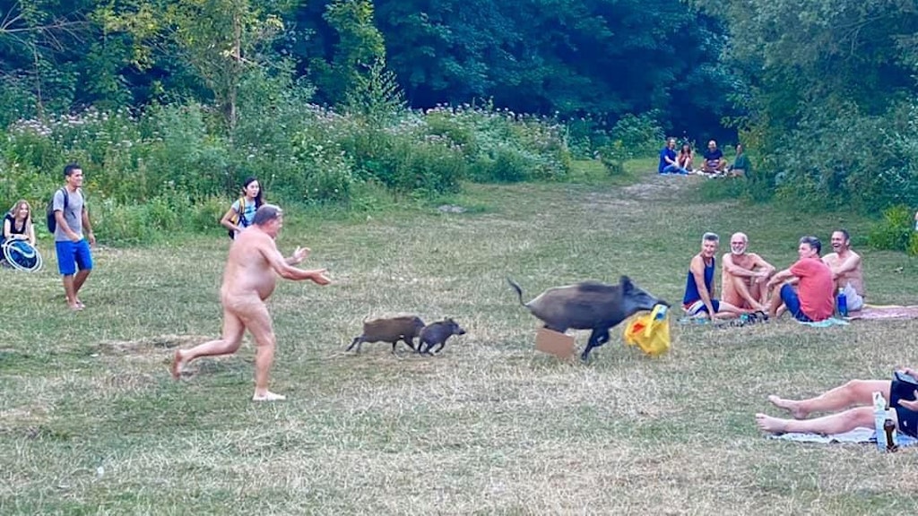 Wildsau Elsa klaute einem Nacktbader am Teufelssee seine Tasche.