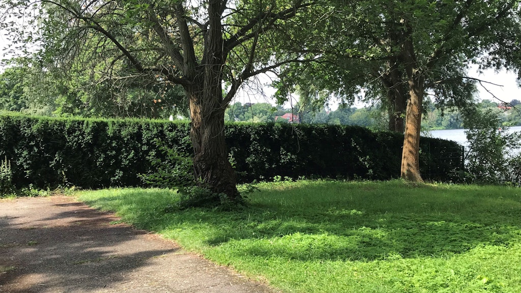 Villenbesitzer haben am Griebnitzsee heute eine neue Mauer aus meterhohen Hecken gezogen, die den weiteren Durchgang auf dem Uferweg für Spaziergänger versperrt.
