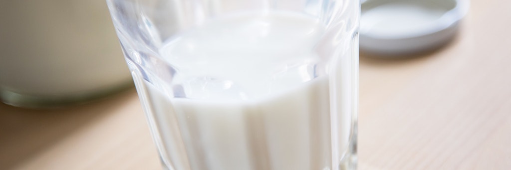 Milch ist reich an Calcium. Doch mit Milchtrinken allein ist der Gesundheit der Knochen nicht gedient. 