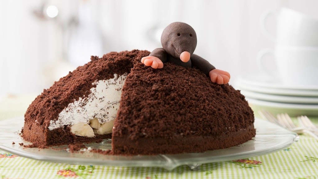 Der Maulwurfkuchen stand schon bei Oma immer auf dem Tisch, jetzt machen Sie ihn ganz einfach selber.