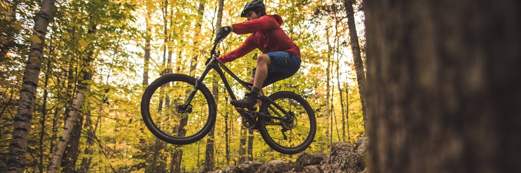 Die Blätter verfärben sich gelblich, der Herbst kündigt sich vielerorts bereits an, während dieser Mountainbiker sich den Weg durch den Wald bahnt.