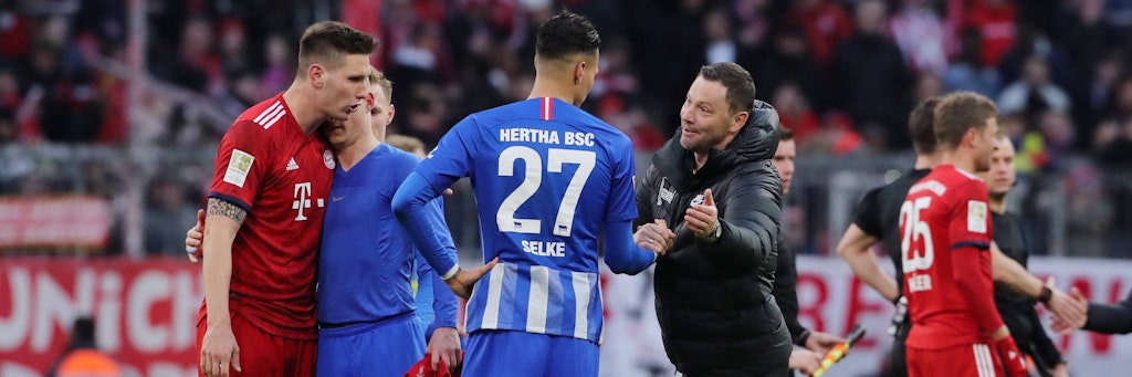 Hertha-Trainer Pal Dardai würde gerne dem FC Bayern Punkte klauen, statt nur Lob zu verteilen. 