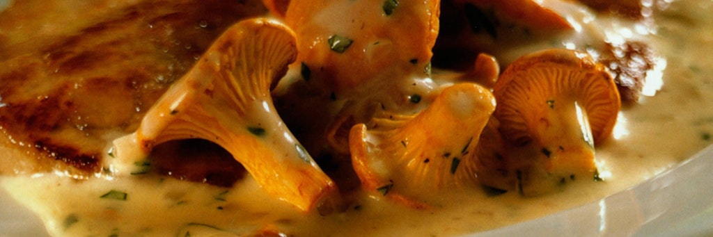 Pfifferlinge schmecken in vielen Varianten gut. Nur frisch müssen sie sein. <br>
