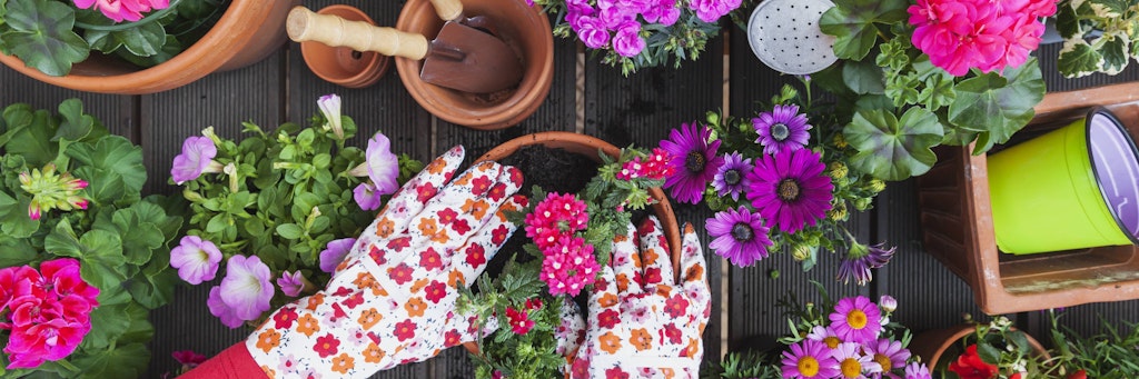 Blumenerde wird meist in großen Packungen verkauft, fast immer bleibt am Ende des Sommers ein Rest übrig.