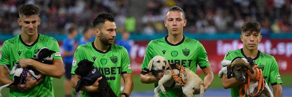 Neues Herrchen oder Frauchen gesucht. Die Spieler von Dinamo Bukarest präsentieren die Straßenhunde beim Einlaufen.