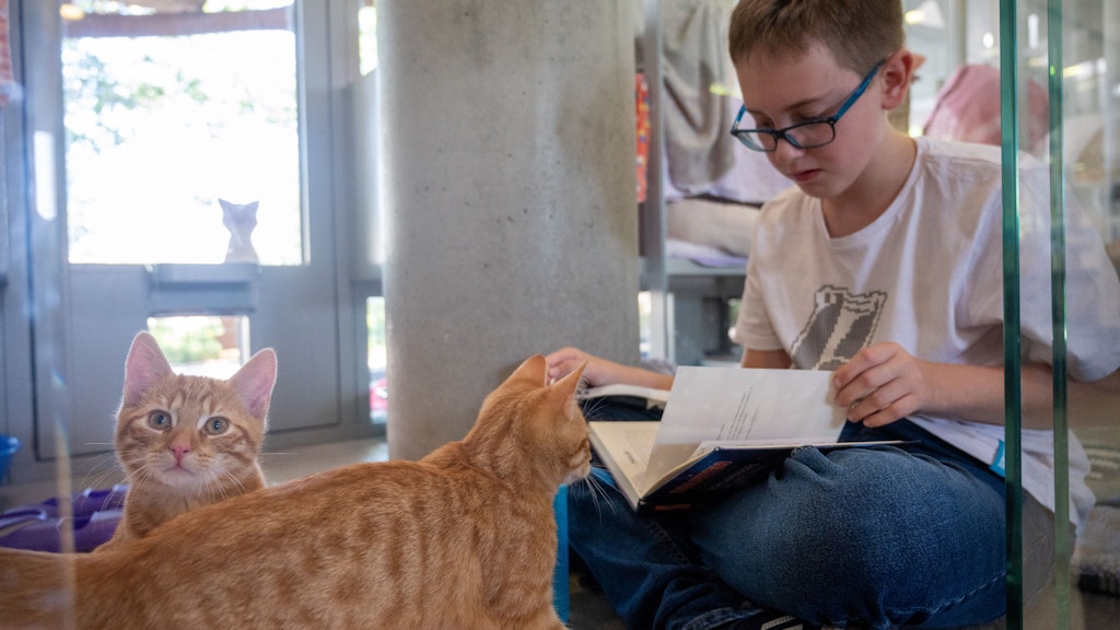 Archibald und Theobald sitzen in ihrer Box im Tierheim Berlin, während Jan aus einem Buch vorliest. 