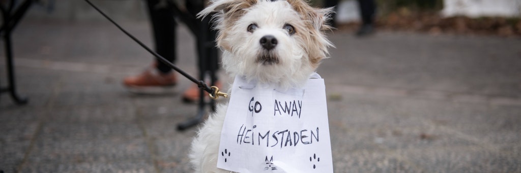 „Go Away Heimstaden“ („Verschwinde Heimstaden“) - der Hund ist schon mal gegen den schwedischen Immobilienkonzern, der Besitzer vermutlich auch.