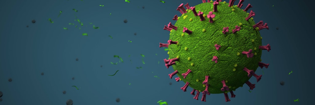 Das Coronavirus 
