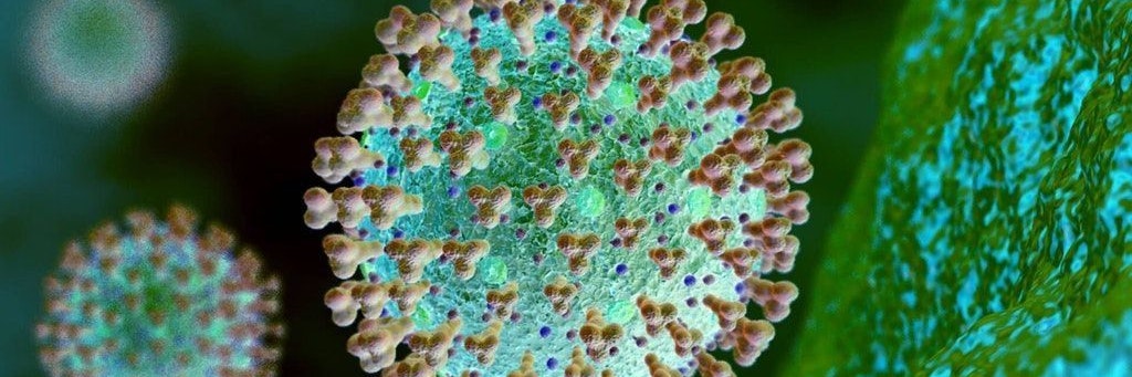 Das Coronavirus in einer mikroskopischen Ansicht.