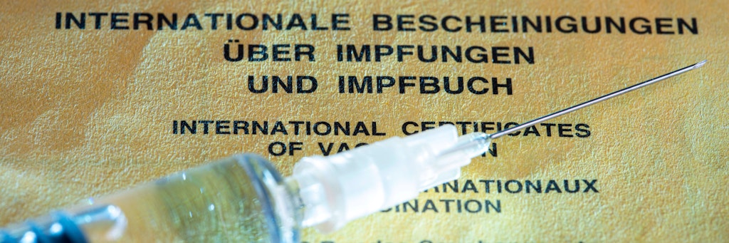 Der Impfpass. 