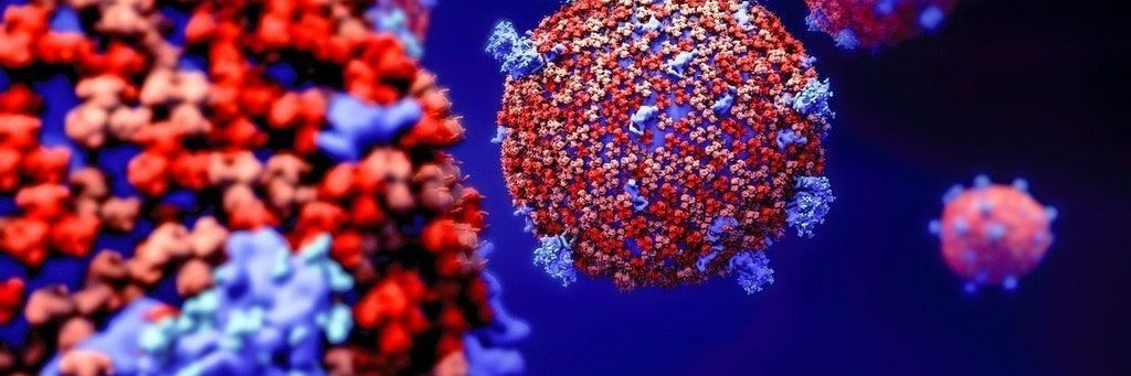 Das Coronavirus in einer Illustration