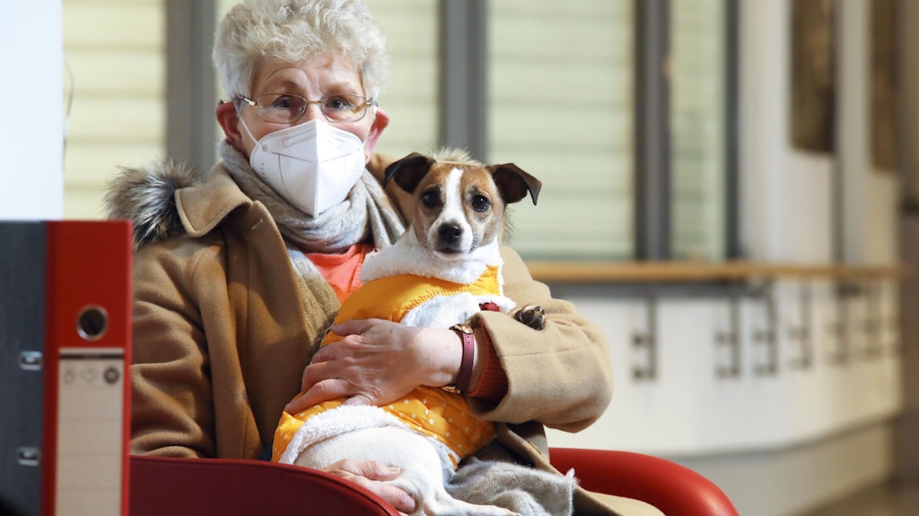 Immer dabei: Jack-Russell-Hündin Lou ist bei den Bewohnern des Pflegeheims bekannt.