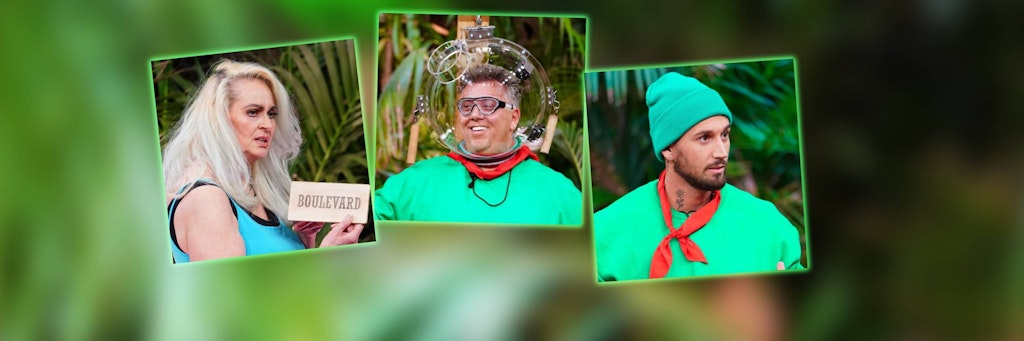 Sie sind die Topverdiener bei der Dschungelshow: Bea Fiedler, Frank Fussbroich und Mike Heiter.