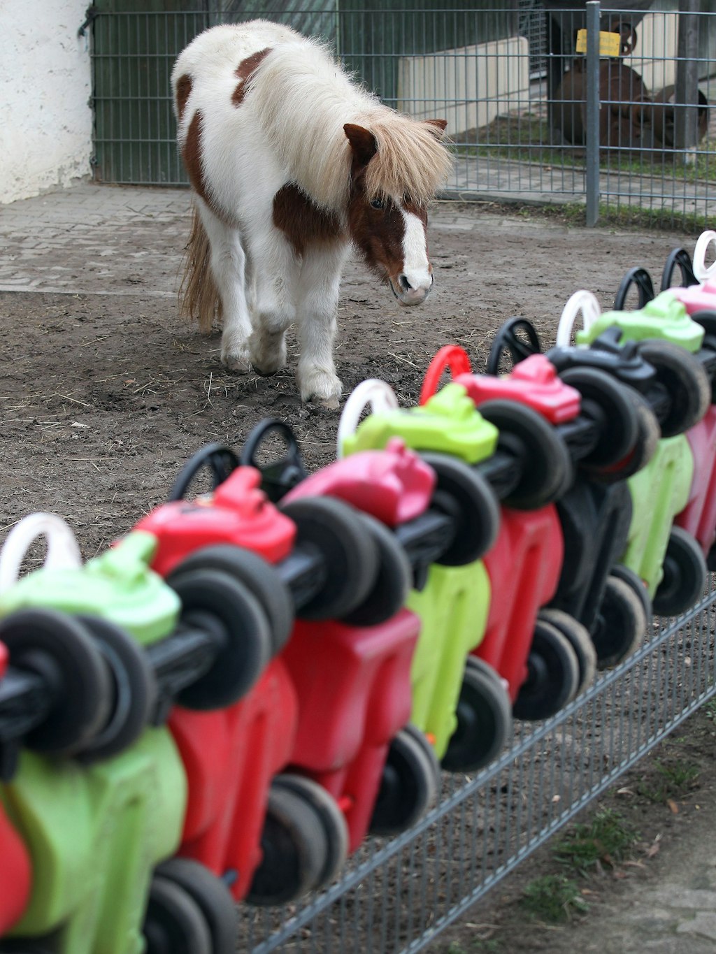 Spielzeugautos und Ponys bleiben momentan allein.