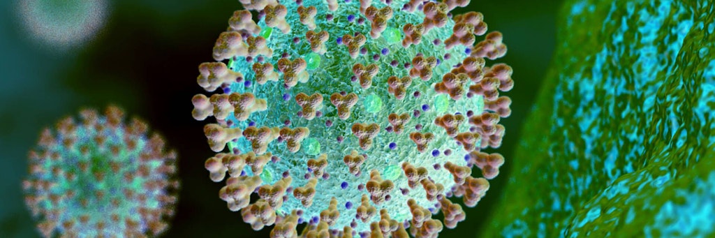 Mikroskopische Ansicht des Corona-Virus