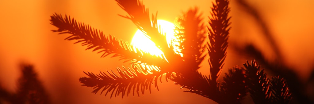 Warten auf die Sonne. 